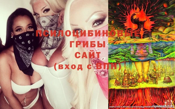 прущий лед Алексеевка