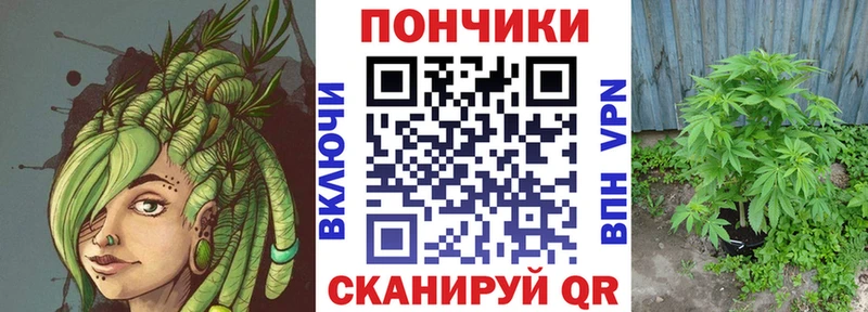 Канабис план  Купить  Болотное 